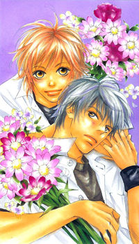 Kawaii Hito (KONNO Keiko)